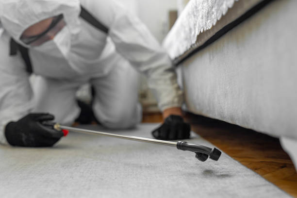 Professional Mosquito Control technician working in Wye, MT