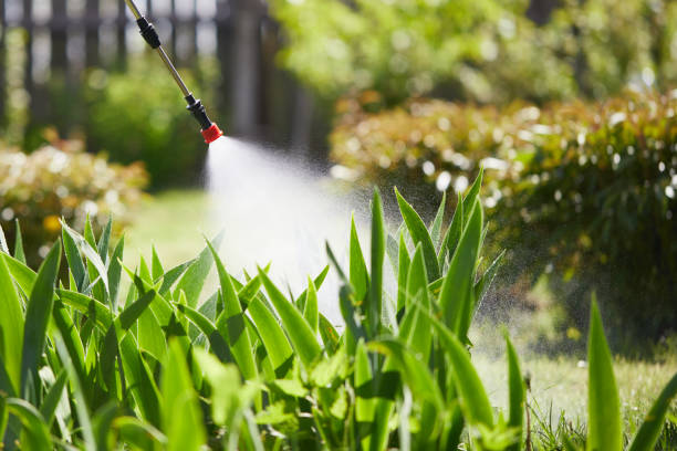 24/7 Emergency Mosquito Control experts in Wye, MT