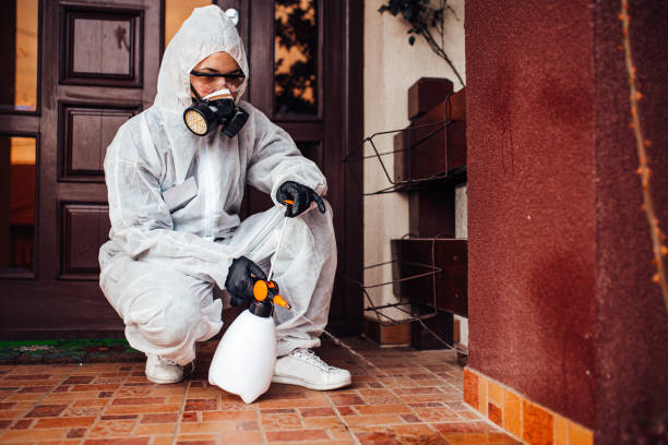 Reliable Mosquito Control contractor in Wye, MT by Nex Pest Control